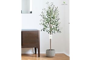 Leflos 150cm Olivo Realista de Interior, sólo para Uso Interior con Tronco Vivo, Rama Ajustable y Aceitunas gordas, 1 Pieza