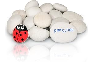 pamindo® Steine zum Bemalen Set - Glatte rundliche und teilweise flache Kieselsteine zum Basteln - handverlesene Deko-Steine als Kreativ Set für Kinder – hellgrau/beige - Natursteine 50-80 mm groß
