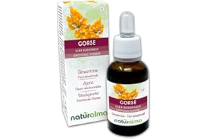 ‎NATURALMA Gorse lub Kolcolist zachodni (Ulex europaeus) Remedia kwiatowe Naturalma - Krople 30 ml - Płynny ekstrakt bezalkoholowy - Esencje kwiatowe - Wegański i bezalkoholowy