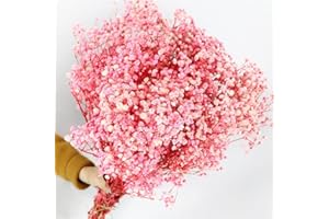 Oning 43 cm Rosa Schleierkraut getrocknet, Echt Trockenblumen über 2000 Blütenknospe Natürlich Gypsophila Trockenblumenstrauß für Hochzeit Brautsträuße Hause Vasen Deko Grußkarte DIY