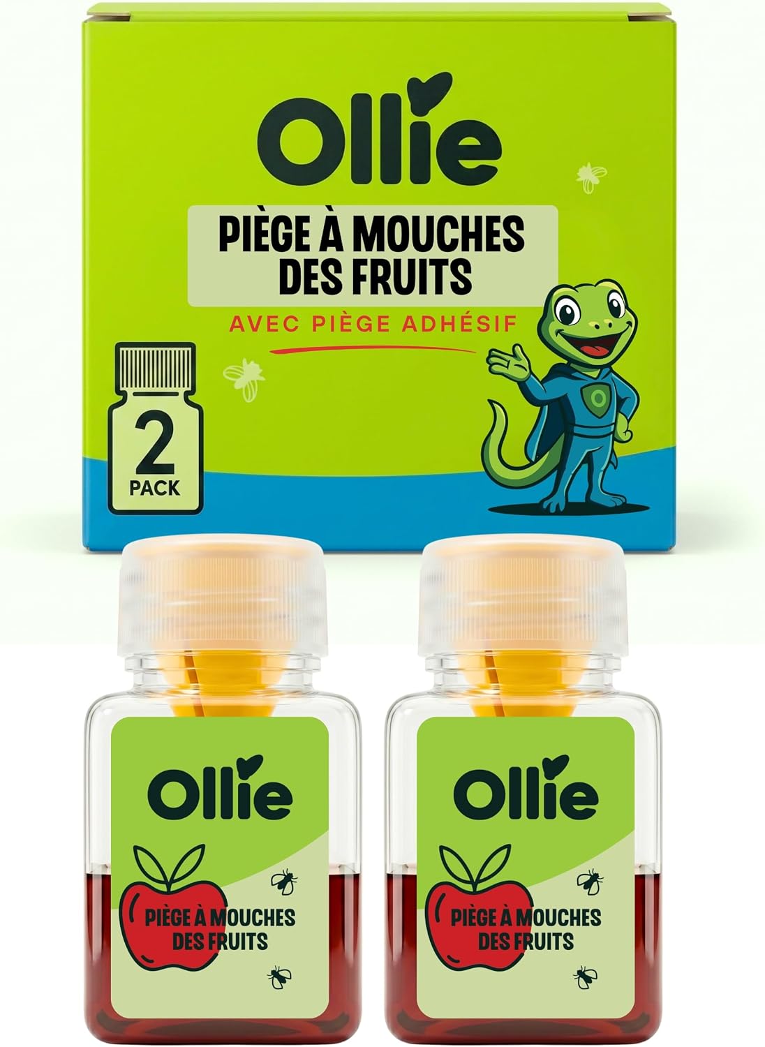 Retour d'Expérience & Bilan Utilisateur : Ollie Pièges Anti Moucherons d Intérieur Cuis