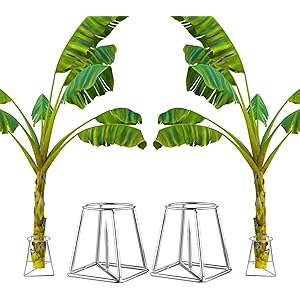 CINAGRO Silver Banana Plant Stand - Pair (Left & Right) for Pooja & Mandir Decor, Rust-Resistant Durable Metal Stand for Banana Stems, Leaf Holder for Temple, Home Festival Decoration Use