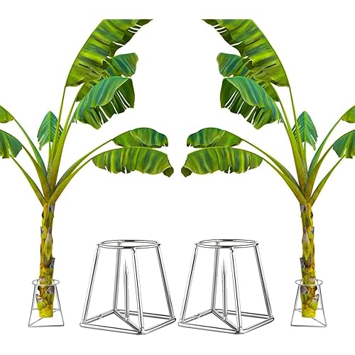 CINAGRO Silver Banana Plant Stand - Pair (Left & Right) for Pooja & Mandir Decor, Rust-Resistant Durable Metal Stand for Banana Stems, Leaf Holder for Temple, Home Festival Decoration Use