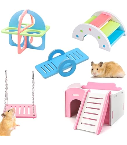 Comida Hamster Juego De Juguetes Para Hámsters Rueda De Correr