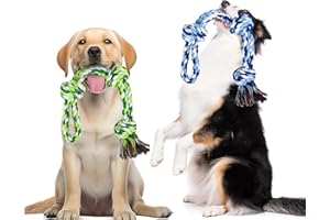 YAUNGEL Dog Rope Toys for Aggressive Chewers, 2PK Interactive Heavy Duty Dog Toys, Indestructible Dog Tough Chew Toy for Large Medium Dog Breeds Teeth Cleaning, Blue-Green