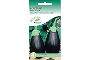 KRAIDO SEEDS Kraido Aubergine Seeds Eggplant Black Beauty Heritage Variety Solanum Melongena 200 Seeds Grow Your Own Vegetable Perfect for Greenhouse or Container Growing