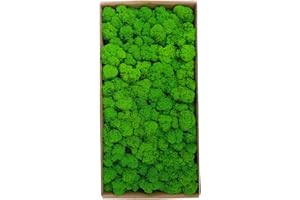 Sunydog Quadro da Parete con Muschio Vero, Muschio Conservato Decorazione da Parete Vero Muschio Conservato Nessuna Manutenzione Richiesta Muschio Naturale Conservato per Casa Parete Feste Festival