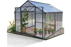 Gegaden Gewächshaus Aluminium für den Garten |Mit 8 cm dickeres Fundament| 301*248*210 cm | Vielseitig nutzbar als Treibhaus Gartenhaus Winterfest Aufzucht Tomatenhaus Frühbeet und Pflanzenhaus Grau