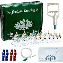 3B Scientific, Tavola Anatomica,Piede E Articolazione Del Piede