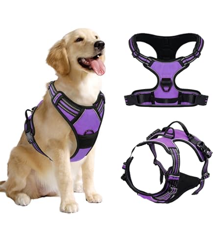 Taglory Sterke Hondenriem Van 1,2 Meter Met Zachte Gevoerde Handgreep En Reflecterende Draden Voor Middelgrote Grote Honden Roze 652163391 Taglory Sterke Hondenriem Van 1,2 Meter Met Zachte Gevoerde Handgreep En Reflecterende Draden Voor Middelgrote Grote Honden Roze 652163391