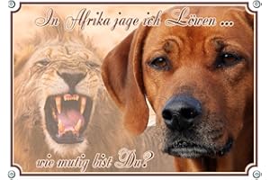 Petsigns Rhodesian Ridgeback - Hundeschild - Metallschild - Warnschild bis DIN A3 bestellbar, DIN A4