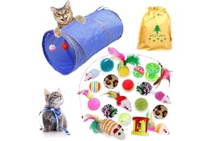 MQIAN 21PCS Juguetes para Paquete de Variedad para Gatitos, Set di Juguetes para Gatos Interactivo Ratón,Juguetes para Gatos con Plumas túnel