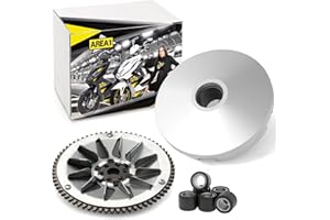 Area1 Kit variateur de remplacement pour scooter – Compatible Speedfight 1, Speedfight 2, Elyseo, Elystar, Vivacity, Trekker, Limbo, Gipsy, Buxy, Squab, TKR, Zenith, SV, Looxor, Splinter, Raggae