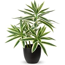 Oairse Pianta Artificiale Dracaena Reflexa In Vaso Di Vetro Con Acqua Finta - 36 Cm, Realistica Per Casa E Ufficio