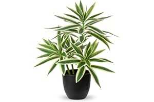 Oairse Plantas falsas de 41 cm en macetas negras, planta artificial de dracaena decorativa, plantas falsas en maceta, planta de interior realista para decoración del hogar, baño, cocina