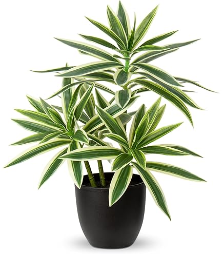 Lot De 10 Buses à Gaz N°8 54N14 - Pour Chalumeaux WP-17, WP-18, WP-26 - 12.5mm (1/2")