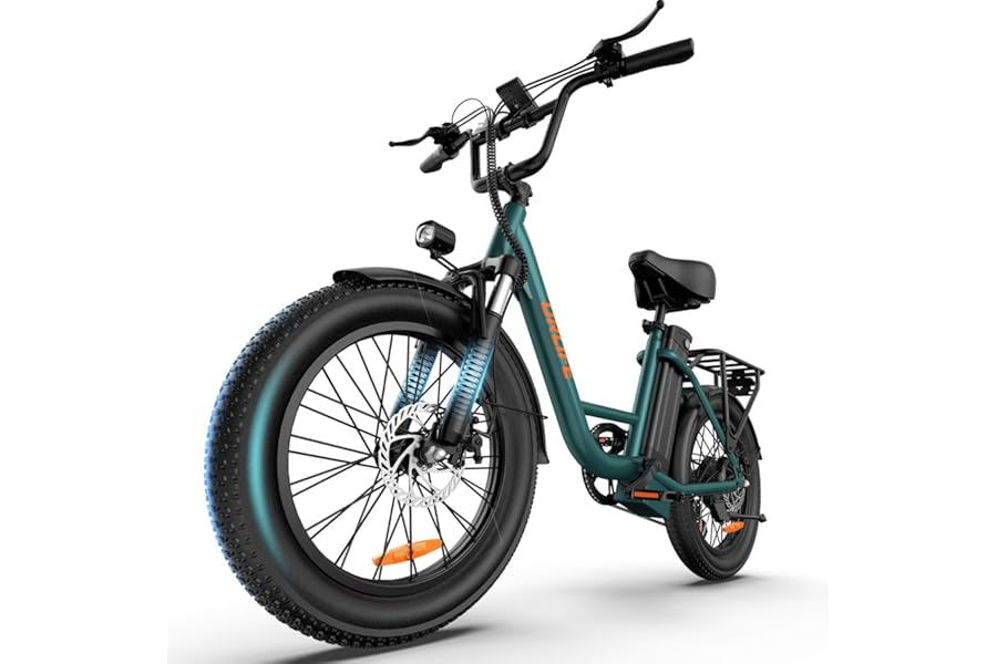 URLIFE Electric Bike for Adults, 20" x 3.0 Fat Tire Electric Bicycle with Colorful Display, 250W Motor Ebike, 48V 13Ah Removable Battery, 100 KM Max, All-Terrain E-Bike for Adults and Teens
