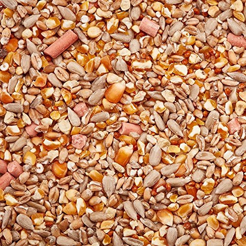 No Waste Wild Bird Seed Mix Premium Grade No Husk Hull & Grow Bird Food