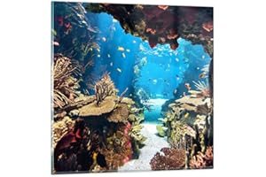 ARTTOR Deco Cadre Salon Océan Récif Poissons Corail Moderne Impression sur Verre 50x50cm Image Tableau en Verre Decoration Murale Chambre Cuisine Carré Art Wall Petit Tableaux Decoratifs Muraux GAC50x50-2872