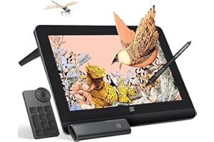 XP-PEN XPPEN Artist Pro 16 Gen2 Tableta Gráfica con Pantalla con Lápiz 16K Niveles de Presión, Tableta Dibujo Digital Completamente Laminada 16 Pulgadas con Teclado Numérico Inalámbrico