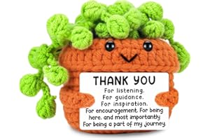 Onperpoe Thank You Gifts for Women, Handmade Emotional Support Plant with Heart-Warming Card, Crochet Plant Thank You Gift for Teacher Coworkers Boss Nurses
