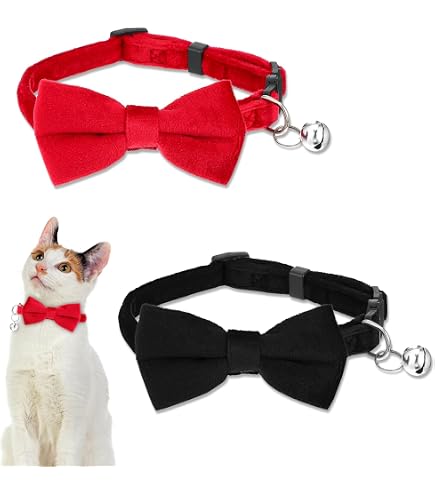 Katzenhalsband Aus Weichem Cord Mit Glocke & Schleife – Verstellbarer Sicherheitsverschluss (19-30,5 Cm, Schwarz/braun)