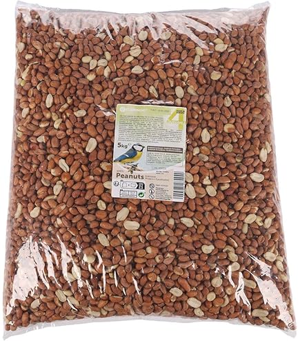 Zonnebloempitten Gepeld 25kg | Tuinvogel voeders Zonnebloempitten Gepeld 25kg | Tuinvogel voeders
