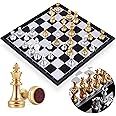 Delopik Magnetic Chess Board Set with Chess Folding-Portable Storage Board, Traditional Game, Educational Toys for Kids-Children-Adults Gift 25 * 25 * 2 cm (FR-25)
