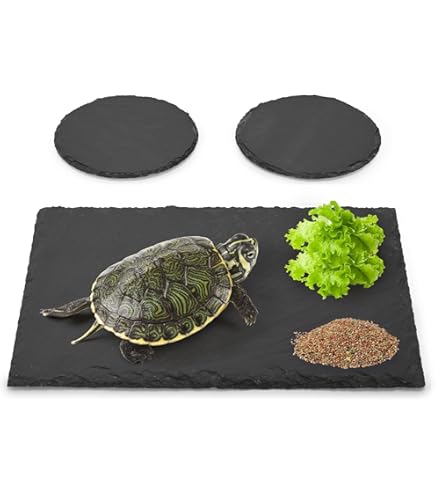 2PCS Turtle Basking Platform - 7.9x6 Inch Rectangle & 6 Inch Round Natural Stone Slates