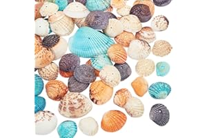 PandaHall Elite ca. 56 Stück gefärbte natürliche Muschelschale Perlen gebohrt kleine Jakobsmuschel Muscheln Ocean Beach Muscheln Craft Charms für Kerze machen Home Decoration Party Hochzeitsdekor
