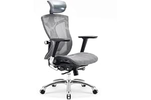 SIHOO Ergonomiczne Krzesło Biurowe z Podłokietnikiem 4D, 2-kierunkowe Podparcie Lędźwiowe - Regulowana Głębokość Siedziska - Zagłówek z PU - Oparcie z Regulacją Wysokości - Krzesło Komputerowe z Wysokim Oparciem (szary)