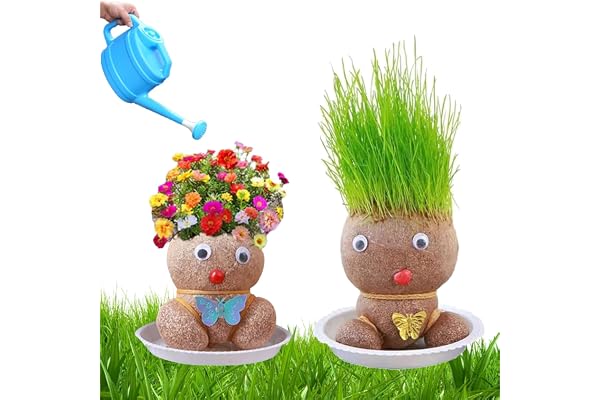 Lot de 2 mini bonsaï en pot avec tête d'herbe en croissance (M1)
