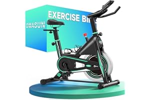 DMASUN Bicicleta Estática en Casa con Resistencia Ajustable, Bicicleta Estatica Silenciosa con Monitor LCD, Cómodo Cojín de Asiento, Capacidad de 160/180 kg, Entrenamiento Aeróbico