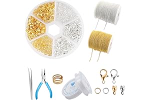 FISH DRAGATE 340 pcs fermoir bracelet,kit fermoir collier,accroche bracelet,kit fabrication braceletbracelets diy,avec pinces et pinces,2 rouleaux de chaîne,accroche,pour fabrication de bijoux