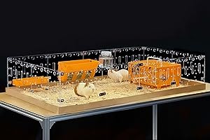 GuineaLoft™ Acrylic Cage (Model-A) - Large 4x2ft Open Cage for Guinea Pigs, Bunnies, Quails, Hedgehogs, Roaming Small Animals, DIY Extendable - Visit the Guinea Loft Store to See It All