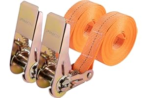 CAREHABI Cinghie di serraggio con cricchetto, 4 m, robuste cinghie di ancoraggio con cricchetto, per trasporto di materiali, moto, biciclette, trasloco, pacchi bagagli, campeggio (2 pezzi)