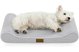 COZY KISS Panier-Canapé Orthopédique pour Chiens Lavable pour Petits Chiens, 76x50x12 cm, avec Housse Amovible & Bord Surélevé - Canapé pour Chien Résistant à la Mâchonnement et Imperméable, Gris