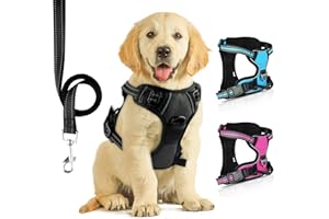 SIBOTER Pettorina Cane, Pettorina Regolabile per Cane di Taglia Media e Piccola con Guinzaglio, Traspirante, Antifuga, per la Corsa, Passeggiate, Jogging (M, Nero)