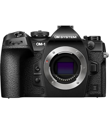 OM SYSTEM OLYMPUS OM-D E-M1 Mark II Camera Body Only, (Black