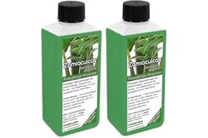GREEN24 Twin Pack (2 x 250 ml) Liquid Fertiliser for Zamioculcas zamiifolia, Lucky Feather, Cardboard Paper Palm "Zamie" (Zamia Fern, Zamio Palm) Zanzibar Plants/Indoor Plants NPK Full Fertiliser