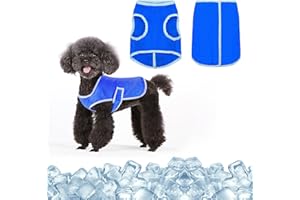 PLUSHCEWT Gilet Rafraîchissant pour Chien,Gilet Rafraîchissant D'été pour Chien,Veste de Refroidissement pour Chien,pour Les Petits, Moyens et Grands Chiens Lors D'activités en Plein Air (S)