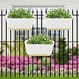 ecofynd 12 Inches Aurelia Railing Planters for Balcony, Hanging Pots for Plants, Wall Hanging Decorative Planters for Vertical Garden, Oval,12 inches, Pack of 3 (White)