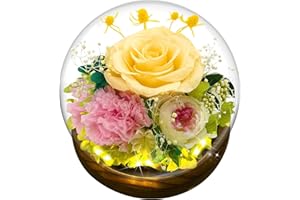 LUYITOM Preserved Real Rose Gifts for Women, Eternal Rose in Glass Dome with LED Strip, Handmade Eternal Flower Gifts for Her Wife Grandma Girlfriend on Birthday Valentine Mother's Day Anniversary