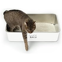Relaxdays kattenbakmat, mat voor kattenbak, waterdicht, antislip, pvc, schoonloopmat, uitloopmat kat, 40x59 cm, grijs