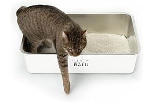 LucyBalu® Edelstahl Katzenklo geruchsfrei | große Katzentoilette aus Edelstahl | offenes Katzenklo für den Einstieg von Oben | hop-in Katzen Klo ohne Deckel | Katzen WC | Weiß