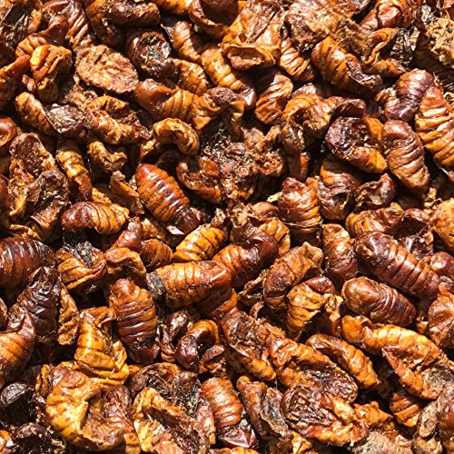 Seidenraupen Koi-Futter getrocknet 3kg – Raupen auch als Fischfutter, Reptilienfutter & Schildkrötenfutter geeignet – das Protein-Leckerli als Zusatzfutter kaufen - 3