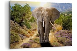ARTTOR Canvas Print 100x70cm Canvas Picture animals Africa elephant walk Large Home Decor Framed Living Room Bedroom Kitchen Wall Art Decoration Photo Gallery Printed Modern Artwork AA100x70-2708