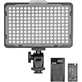 Neewer Dimmable 176 LED Video Light 5600K on Camera Light Panel Compatible with Canon Nikon Pentax Panasonic Sony and Other D