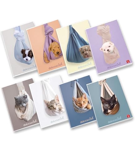 Pigna Maxi Notebook „Arrivano I Giganti“ – A4 (21x29,7 Cm), 80 Seiten + Vorsatzblatt, Liniert, 10 Stück Sortierte Einbände