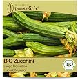 Bio Bohnensamen Chiba Green Samenliebe BIO Sojabohn Produktbild-Vorschau 7